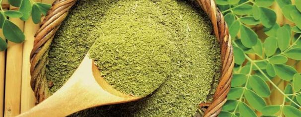Buy Moringa powder in pakistan